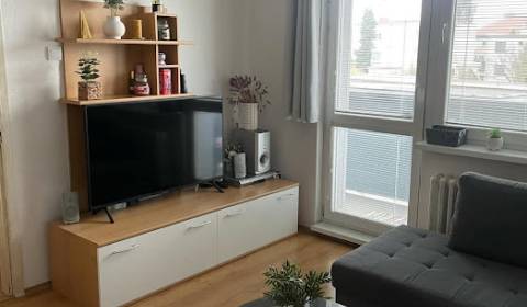 Rent One bedroom apartment, One bedroom apartment, Cukrovarská, Galant