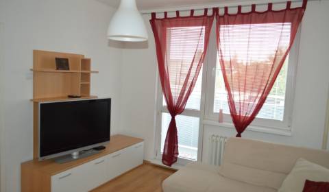 Rent One bedroom apartment, One bedroom apartment, Cukrovarská, Galant