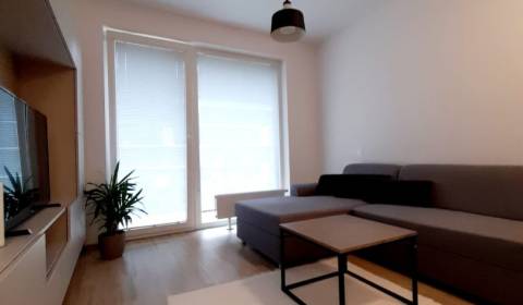 Rent Single studio, Single studio, Zuzany Chalupovej, Bratislava - Pet