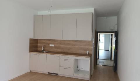 Sale One bedroom apartment, One bedroom apartment, nezadane, Trnava, S