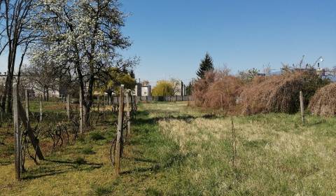 Sale Land – for living, Land – for living, Komárno, Slovakia