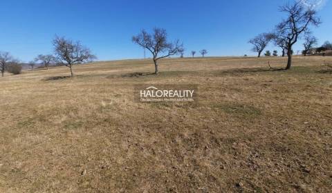 Sale Land – for living, Krupina, Slovakia