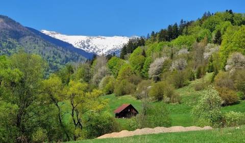 Sale Recreational land, Recreational land, Fongrub, Brezno, Slovakia