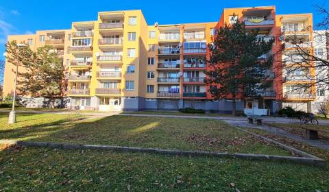 Rent One bedroom apartment, One bedroom apartment, Valová, Piešťany, S