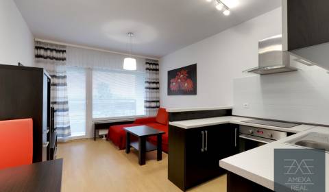 Rent One bedroom apartment, One bedroom apartment, Vlčie Hrdlo, Bratis