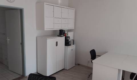 Rent Commercial premises, Commercial premises, Hálkova, Bratislava - N