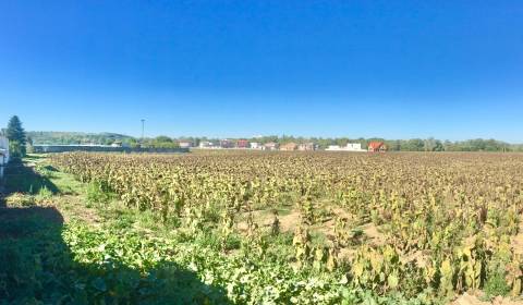 Land – for living, Sale, Piešťany, Slovakia