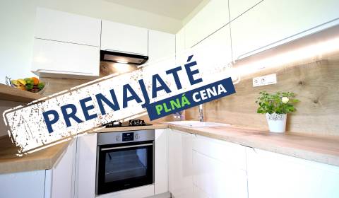 Rent One bedroom apartment, One bedroom apartment, Ďumbierska, Prešov,