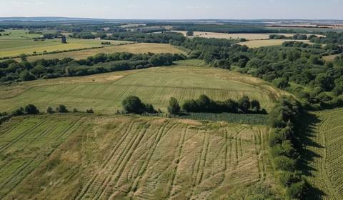 Sale Agrarian and forest land, Agrarian and forest land, Turzovka, Čad