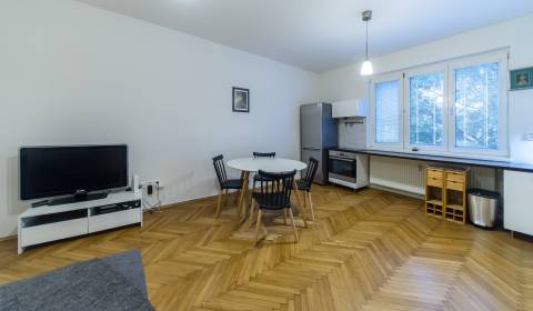 Beautiful 1bdr apt 50m2 spacious disposition, great location NOVÁ DOBA