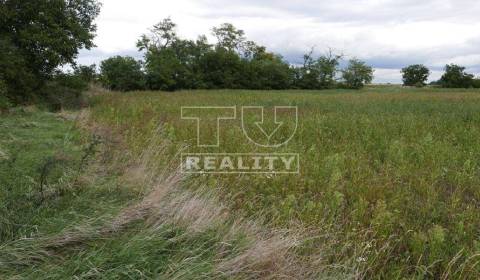 Sale Land – for living, Senec, Slovakia