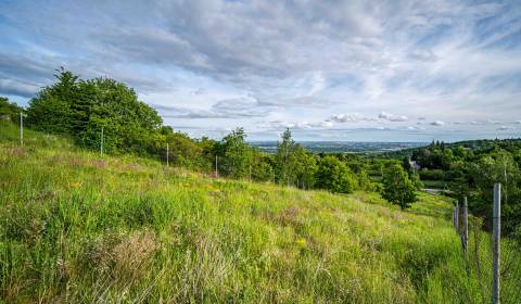 Sale Recreational land, Recreational land, Pezinok, Slovakia