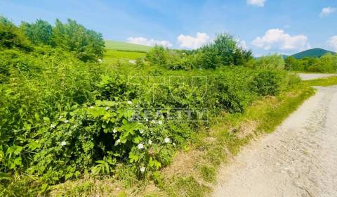 Sale Land – for living, Piešťany, Slovakia