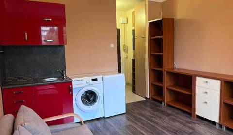 Rent Single studio, Single studio, Cintorínsky rad, Komárno, Slovakia