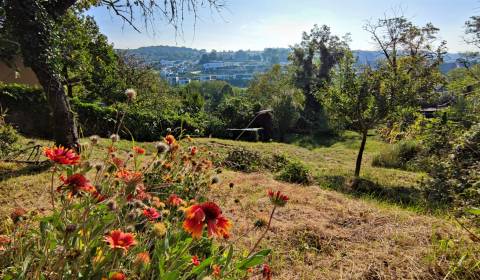 Sale Gardens, Gardens, Spätná cesta, Bratislava - Devín, Slovakia