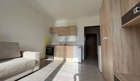 Rent Single studio, Single studio, Nové Zámky, Nové Zámky, Slovakia