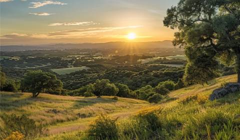 Sale Agrarian and forest land, Agrarian and forest land, Turany, Marti