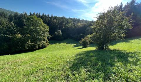 Sale Recreational land, Recreational land, Zbora, Púchov, Slovakia