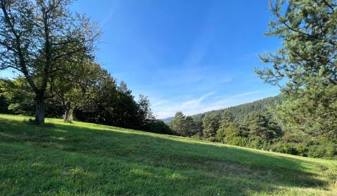 Sale Recreational land, Recreational land, Zbora, Púchov, Slovakia