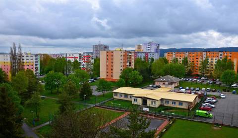 Searching for One bedroom apartment, One bedroom apartment, Sídlisko J