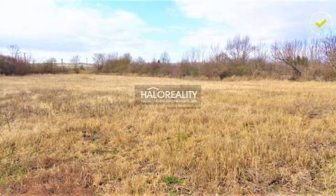 Sale Land – for living, Levice, Slovakia