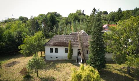 Sale Cottage, Cottage, Hrubá Strana, Nové Mesto nad Váhom, Slovakia