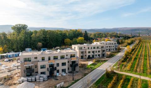 Sale Studio, Studio, Limbašská cesta, Pezinok, Slovakia