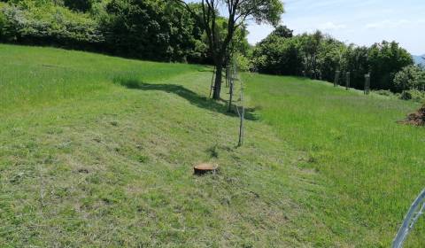 Sale Recreational land, Recreational land, Trenčín, Slovakia