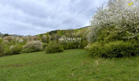 Sale Recreational land, Žarnovica, Slovakia