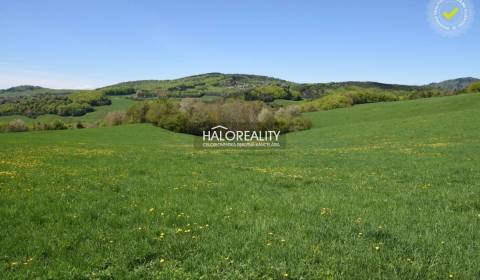 Sale Recreational land, Žarnovica, Slovakia