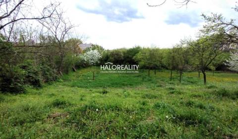 Sale Land – for living, Levice, Slovakia