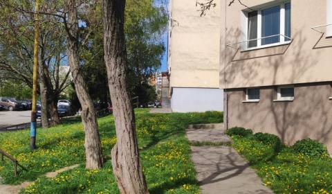 One bedroom apartment, One bedroom apartment, Benadová, Košice - 