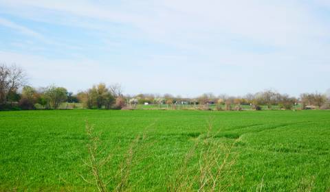 Sale Land – for living, Land – for living, Petržalská, Bratislava - Ču