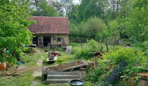 Sale Family house, Family house, Štverná, Myjava, Slovakia