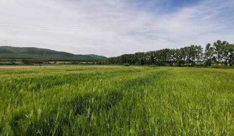 Sale Land – for living, Land – for living, Stankovská, Vranov nad Topľ