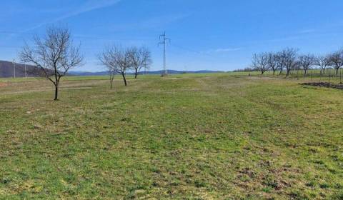 Sale Agrarian and forest land, Agrarian and forest land, Vihorlatská, 