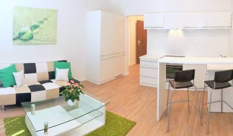 Rent One bedroom apartment, One bedroom apartment, Miletičova, Bratisl
