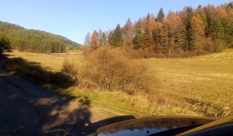 Sale Agrarian and forest land, Agrarian and forest land, Turčianske Te