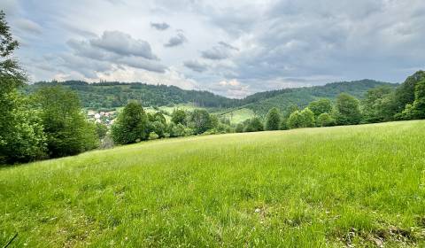 Sale Recreational land, Recreational land, Dlhá nad Kysucou, Čadca, Sl