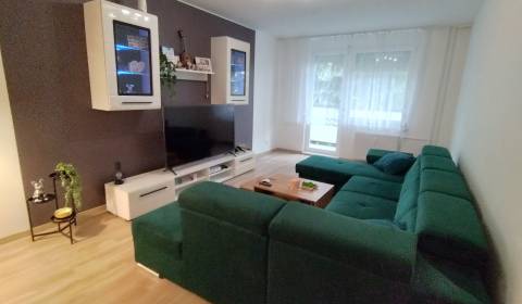 Sale One bedroom apartment, One bedroom apartment, T. G. Masaryka, Nov