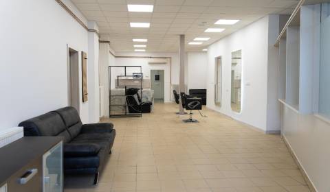 Rent Commercial premises, Commercial premises, Moldavská, Košice - Záp