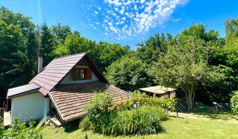 Sale Cottage, Cottage, Levice, Slovakia