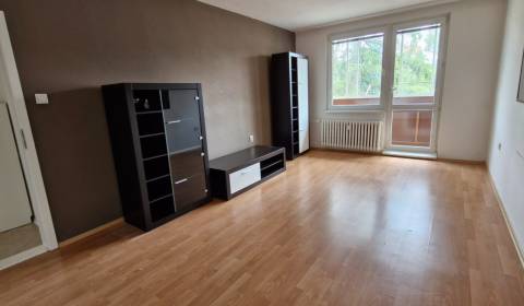 Sale Two bedroom apartment, Two bedroom apartment, L.Svobodu, Skalica,