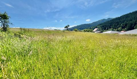 Sale Land – for living, Land – for living, Korňanská cesta, Čadca, Slo