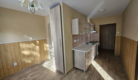 Sale Two bedroom apartment, Two bedroom apartment, Okružná, Šaľa, Slov