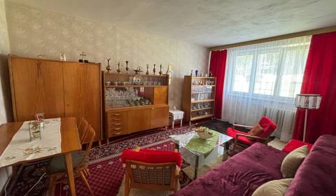 Sale One bedroom apartment, One bedroom apartment, Joliot Curie, Popra
