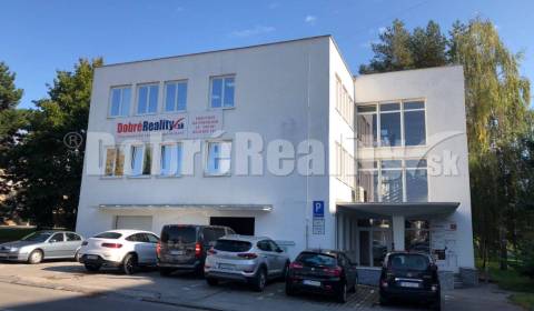 Rent Commercial premises, Commercial premises, Dlha, Prievidza, Slovak