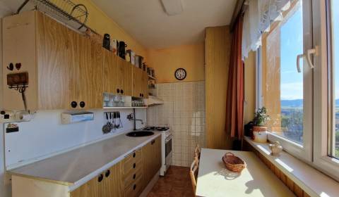 Sale Two bedroom apartment, Two bedroom apartment, Ustecko-Orlická, Po