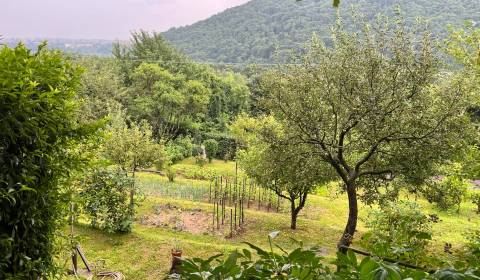 Sale Gardens, Gardens, Brusnicová, Košice - Ťahanovce, Slovakia