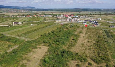 Sale Agrarian and forest land, Agrarian and forest land, Trnavská cest